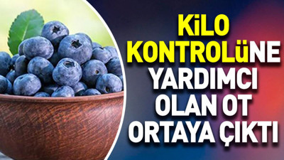 Kilo kontrolüne yardımcı olan ot ortaya çıktı