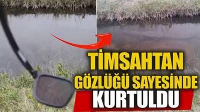 Polarize gözlüğü sayesinde timsahtan kurtuldu