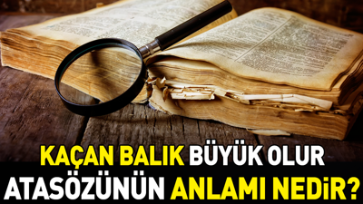 Kaçan balık büyük olur atasözünün anlamı nedir?