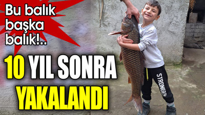 Bu balık başka balık!. 10 yıl sonra yakalandı