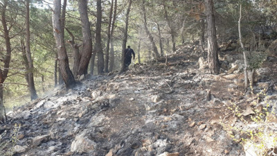 Kazdağları'nda korkutan yangın