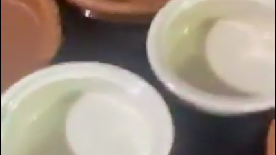 Bir kadın, kedinin mama kaplarını yıkayıp tatlı kasesi olarak kullandı tartışma yarattı