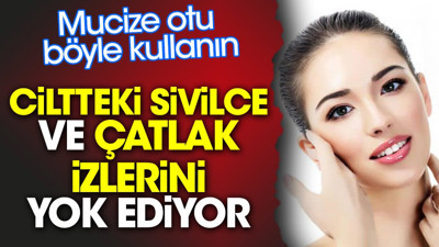 Mucize otu böyle kullanırsanız ciltteki sivilce ve çatlak izlerini yok ediyor