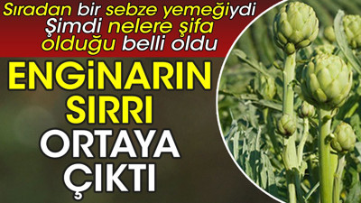 Enginarın sırrı ortaya çıktı. Sıradan bir sebze yemeğiydi şimdi nelere şifa olduğu belli oldu