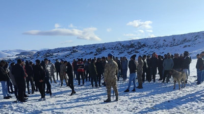 Köpek dövüştüren 83 şahıs suçüstü yakalandı. Yüzbinlerce lira para cezası verildi