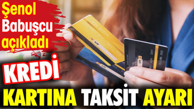 Kredi kartına taksit ayarı. Şenol Babuşcu açıkladı