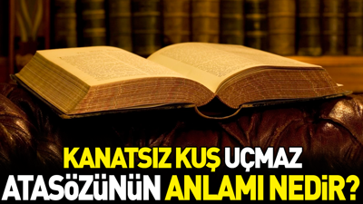 Kanatsız kuş uçmaz atasözünün anlamı nedir?