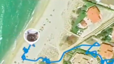 Kedisine takip cihazı takınca gerçek ortaya çıktı