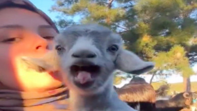 Sosyal medya kullanıcısı oğlağıyla çektiği komik videoyla güldürdü