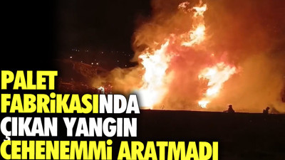 Palet fabrikasında çıkan yangın cehennemi aratmadı