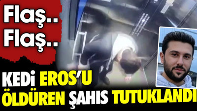 Son dakika.. Kedi Eros'u öldüren şahıs tutuklandı