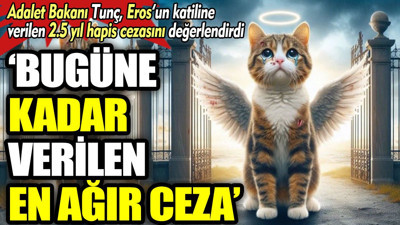 "Bugüne kadar verilen en ağır ceza". Adalet Bakanı Tunç, Eros'un katiline verilen 2.5 yıl hapis cezasını değerlendirdi