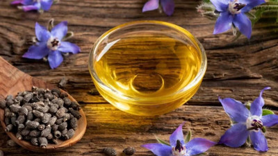 Akciğerlerin iltihaplanmasını önlüyor. Şeker hastalığa karşı koruyor. İşte şifa saçan ot