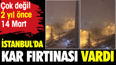Çok değil iki yıl önce İstanbul'da kar fırtınası vardı