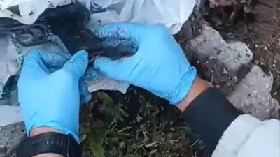 7 adrese eş zamanlı silah operasyonu