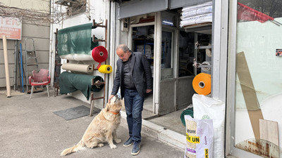 Köpekten kaçarken düşüp diz kapağı kırılmıştı. 315 bin lira tazminat kazandı