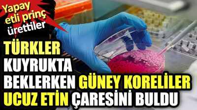 Türkler kuyrukta beklerken Güney Koreliler ucuz etin çaresini buldu. Yapay etli pirinç ürettiler