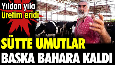 Sütte umutlar başka bahara kaldı. Yıldan yıla üretim eridi