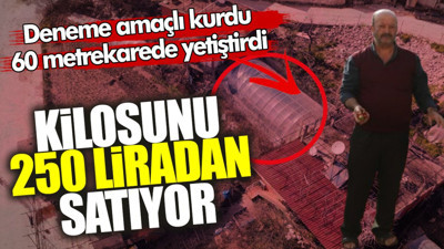 Lezzeti çok güzel doyum olmuyor! Deneme amaçlı kurdu 60 metrekarede yetiştirdi… İlk hasadını yaptı, kilosunu 250 liradan satıyor