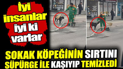 Bursa'da temizlik görevlisi sokak köpeğinin sırtını süpürge ile kaşıyıp temizledi! İyi insanlar iyi ki var