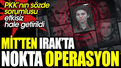 Irak’ta MİT’ten nokta operasyon