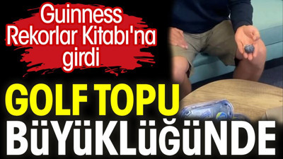 Golf topu büyüklüğünde. Guinness Rekorlar Kitabı'na girdi