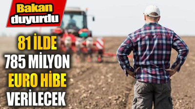 81 ilde 785 milyon euro hibe verilecek. Bakan duyurdu