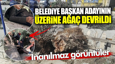 Belediye başkan adayının üzerine ağaç devrildi! İnanılmaz görüntüler