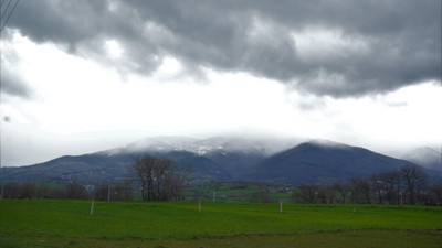 Samsun'da zirai don uyarısı