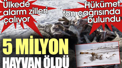 5 milyon hayvanın öldüğü ülkede alarm zilleri çalıyor. Hükümet fon çağrısı yaptı