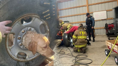 Kafasını janta sıkıştıran köpeğin imdadına itfaiye yetişti