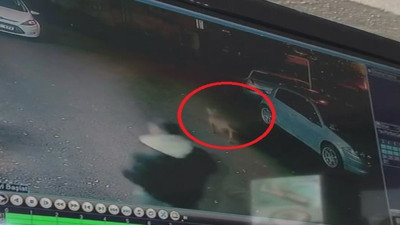 Başıboş köpekler 2 çocuğu hastanelik etti