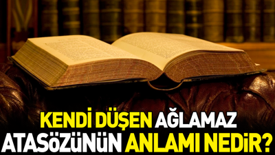 Kendi düşen ağlamaz atasözünün anlamı nedir?