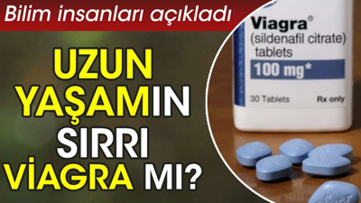Uzun yaşamın sırrı Viagra mı? Bilim insanları açıkladı