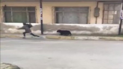 Çamaşır hırsızlığı pahalıya patladı: Köpeğini üzerine saldı