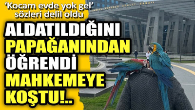 "Kocam evde yok, gel" sözleri delil oldu. Aldatıldığını papağanından öğrendi mahkemeye koştu