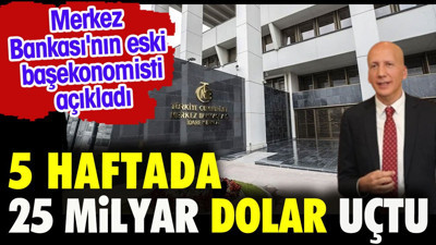 5 Haftada 25 milyar dolar uçtu. Merkez Bankası'nın eski ekonomisti açıkladı