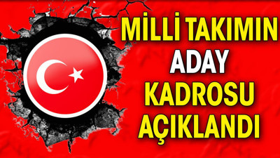 Milli takımın Avrupa Şampiyonası aday kadrosu açıklandı