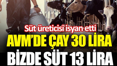 Süt üreticisi isyan etti: AVM’de çay 30 lira, bizde süt 13 lira