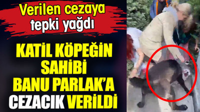 Katil köpeğin sahibi Banu Parlak'a cezacık verildi. Verilen cezaya tepki yağdı