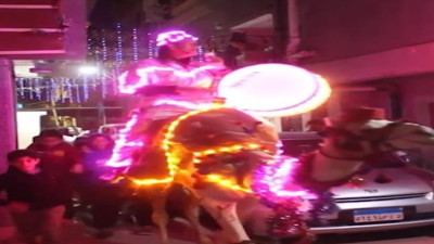 Mısır'ın sokakları aydınlatan davulcusu: Devesini ve davulunu led ışıklarla süslüyor