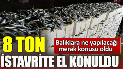 8 ton istavrite el konuldu. Balıkların nereye gideceği merak konusu oldu