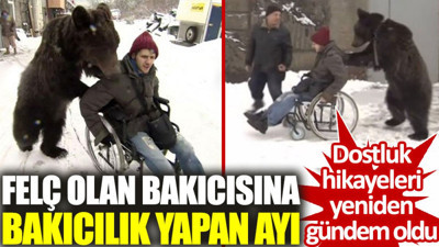 Felç olan bakıcısına bakıcılık yapan ayı. Dostluk hikayeleri yeniden gündem oldu