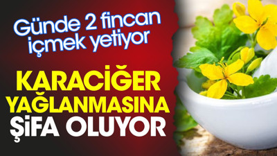 Karaciğer yağlanmasına şifa oluyor. Günde 2 fincan içmek yetiyor