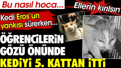 Öğrencilerin gözü önünde kediyi 5. kattan itti. Kedi Eros'un yankısı sürerken. Bu nasıl hoca