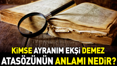 Kimse ayranım ekşi demez atasözünün anlamı nedir?