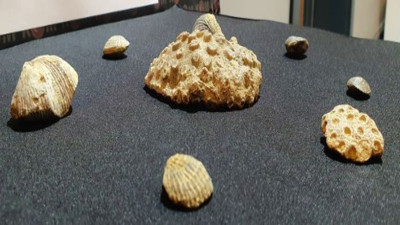 Kayseri’de tarihi fosil operasyonu