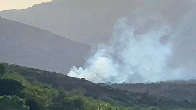 Muğla'da çıkan orman yangını büyümeden söndürüldü