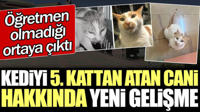 Kediyi 5. kattan atan cani hakkında yeni gelişme. Öğretmen olmadığı ortaya çıktı