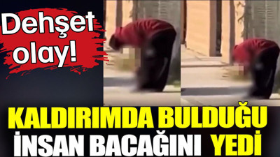 Kaldırımda bulduğu insan bacağını yedi. Dehşet olay